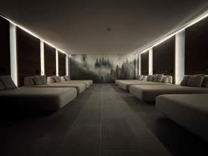 Chalet Hotel Le Collet, Haute Vosges, Spa