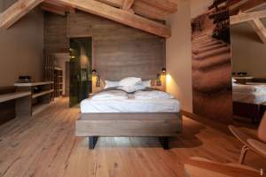 Chalet Hotel Le Collet, Hautes Vosges, Chambres